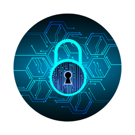 Copias de seguridad y renovación de dominio